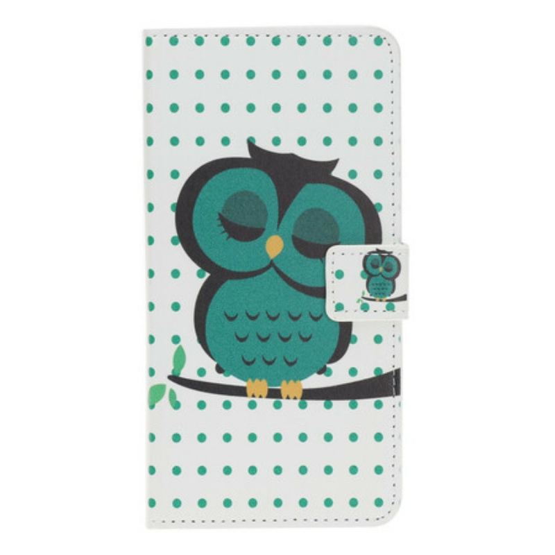 Capa Flip Para iPhone 12 / 12 Pro Coruja Adormecida