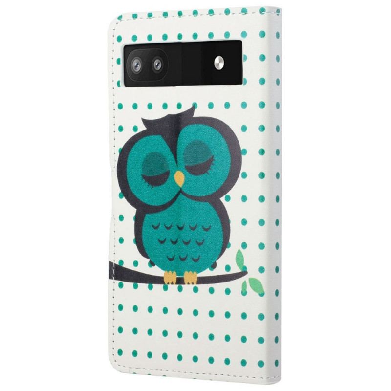 Capa De Couro Para Google Pixel 6A Coruja Adormecida